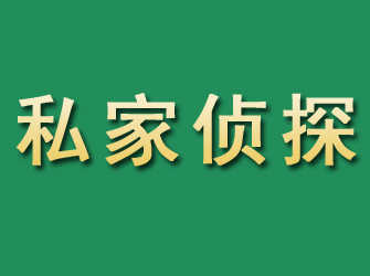 郏县市私家正规侦探