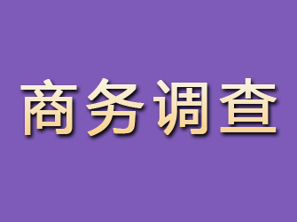 郏县商务调查